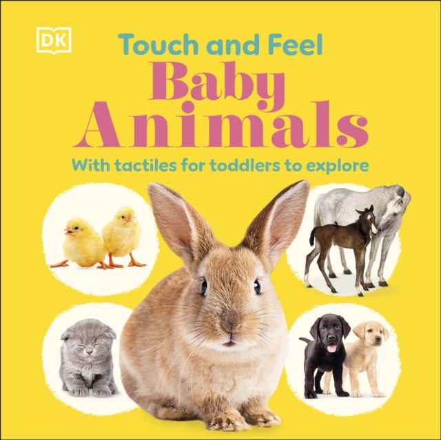 Touch and Feel Baby Animals - 