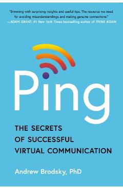 Coperta cărții 'Ping - Andrew Brodsky'