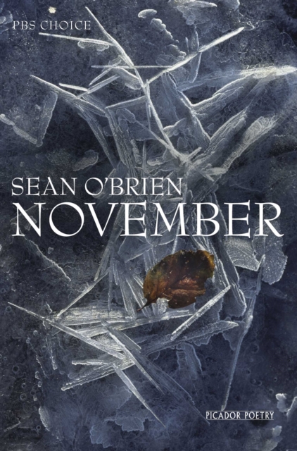 November - Sean O'brien