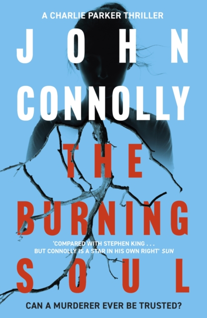 Burning Soul - John Connolly