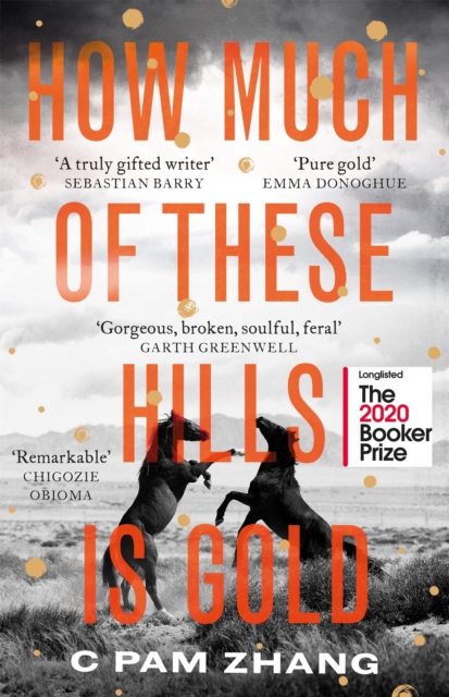 How Much of These Hills is Gold - C Pam Zhang