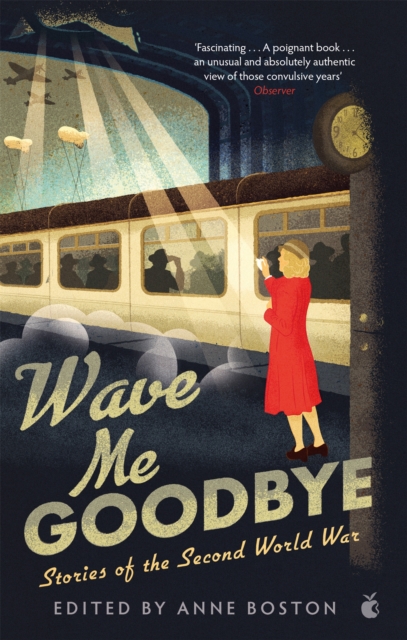 Wave Me Goodbye - Anne Boston