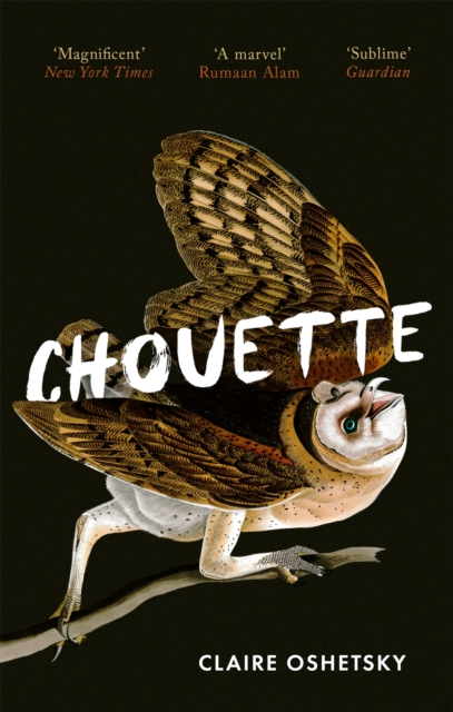 Chouette - Claire Oshetsky