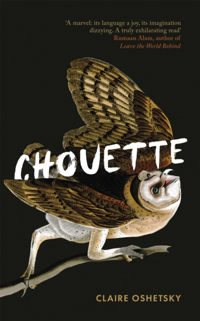 Chouette - Claire Oshetsky