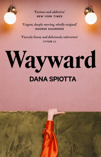 Wayward - Dana Spiotta