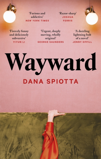 Wayward - Dana Spiotta