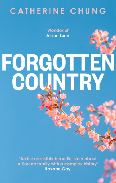 Forgotten Country - Catherine Chung