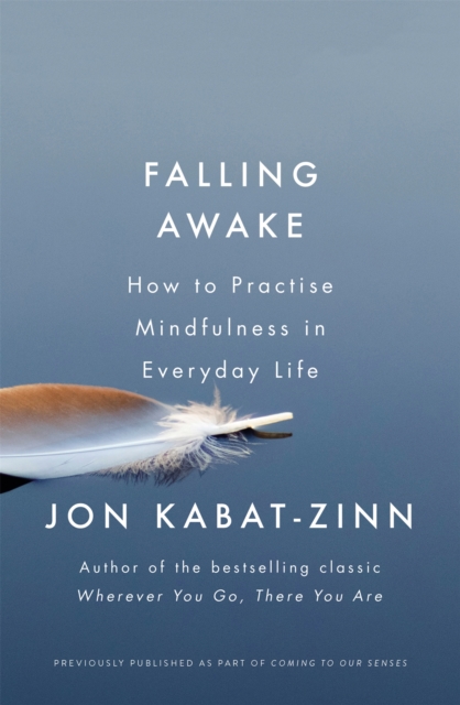 Falling Awake - Jon Kabat-zinn