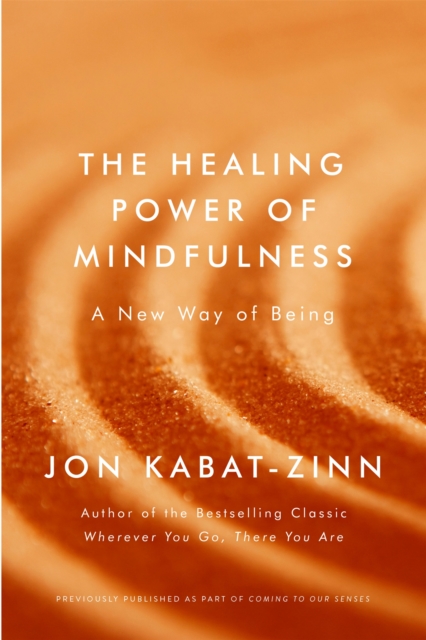 Healing Power of Mindfulness - Jon Kabat-zinn