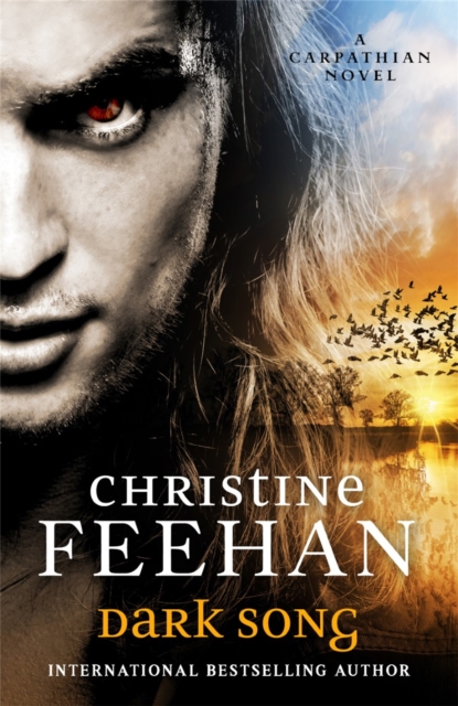 Dark Song - Christine Feehan