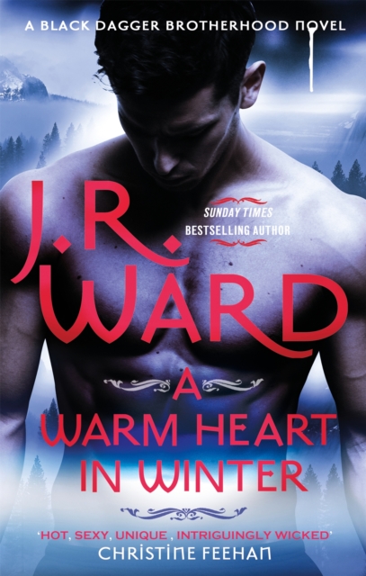 Warm Heart in Winter - J. R. Ward