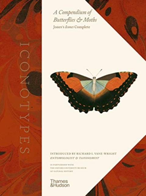 Iconotypes - 
