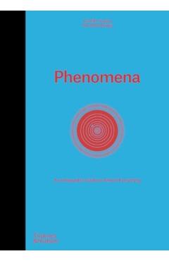 Phenomena - Camille|company Juzeau