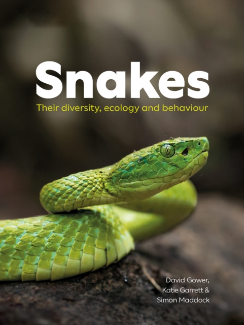 Snakes - David|garrett Gower