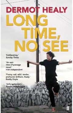 Coperta cărții 'Long Time, No See - Dermot Healy'