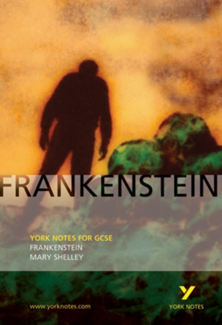 Frankenstein: York Notes for GCSE - Mary|fairburn Shelley