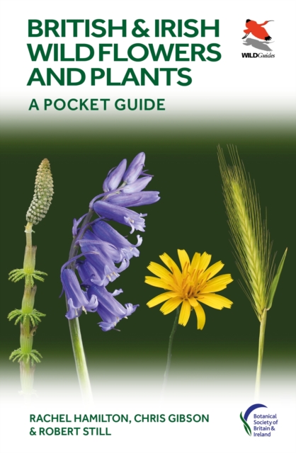 British and Irish Wild Flowers and Plants - Rachel|gibson Hamilton