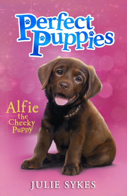Perfect Puppies Book 1 - Julie Sykes