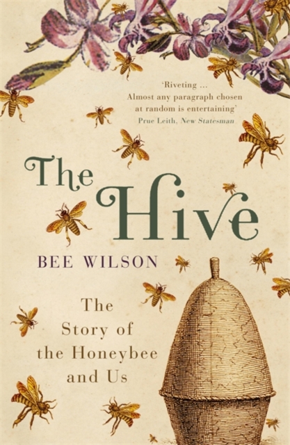 Hive - Bee Wilson