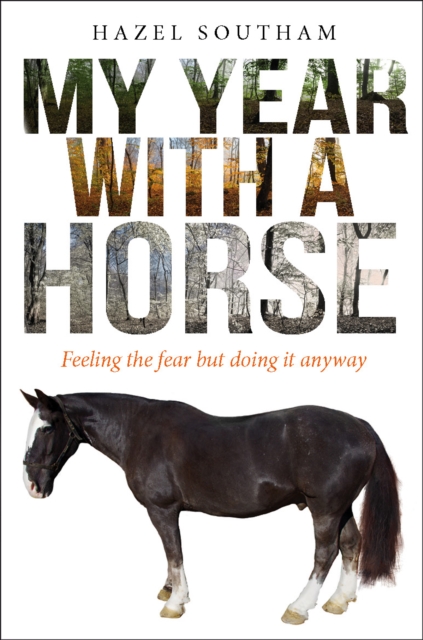 My Year With a Horse - Hazel Southam