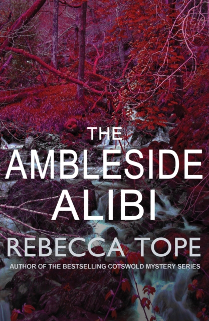 Ambleside Alibi - Rebecca (author) Tope