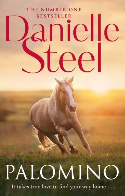 Palomino - Danielle Steel