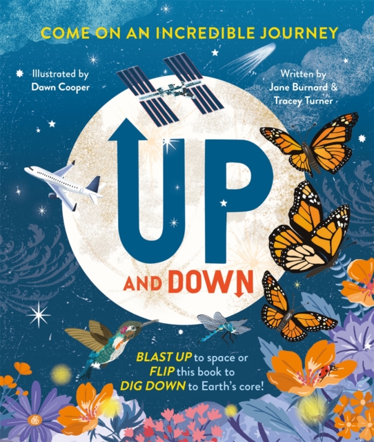 Up and Down - Tracey|burnard Turner