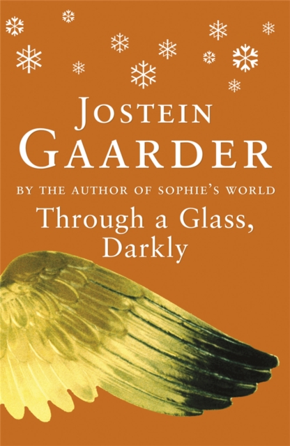 Through A Glass, Darkly - Jostein Gaarder