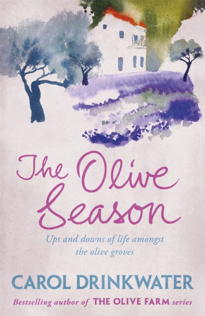 Olive Season - Carol Drinkwater