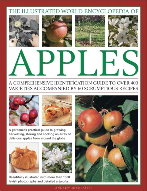 Illustrated World Encyclopedia of Apples - Andrew Mikolajski