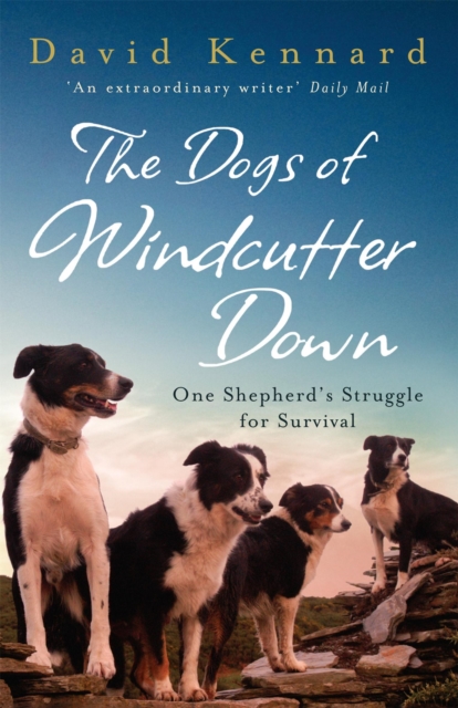 Dogs of Windcutter Down - David Kennard