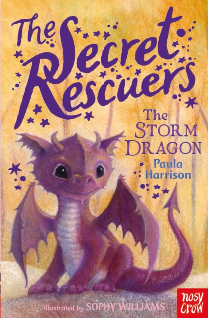 Secret Rescuers: The Storm Dragon - Paula Harrison