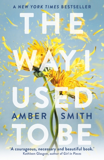 Way I Used to Be - Amber Smith