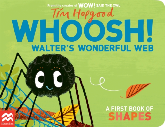 Whoosh! Walter's Wonderful Web - Tim Hopgood