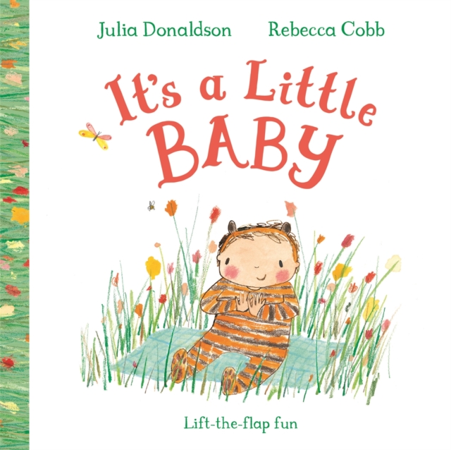Coperta cărții 'It's a Little Baby - Julia Donaldson'