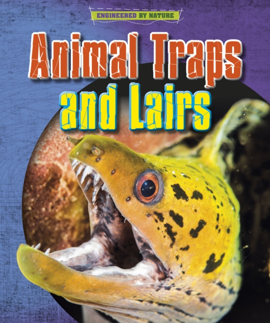 Animal Traps and Lairs - Louise|spilsbury Spilsbury