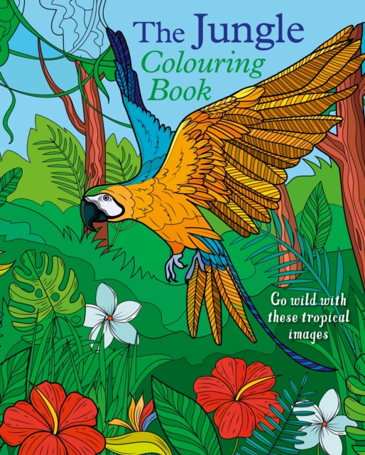 Jungle Colouring Book - Tansy Willow