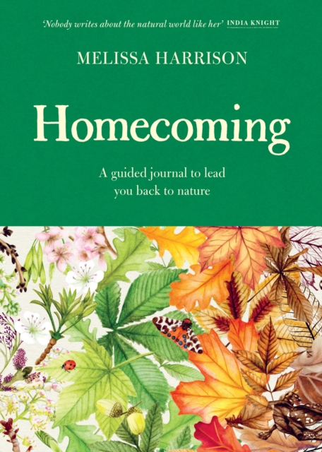 Homecoming - Melissa Harrison