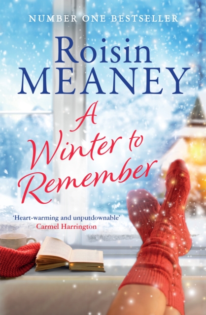 Winter to Remember - Roisin Meaney