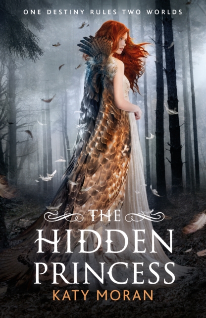 Hidden Princess - Katy Moran