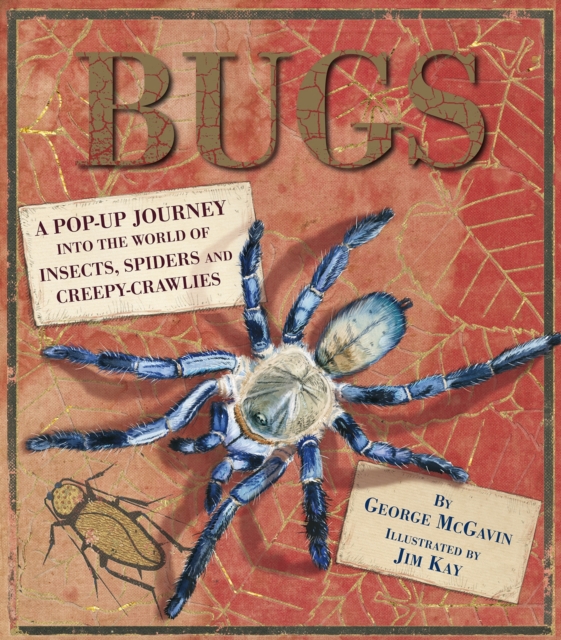 Bugs - George Mcgavin