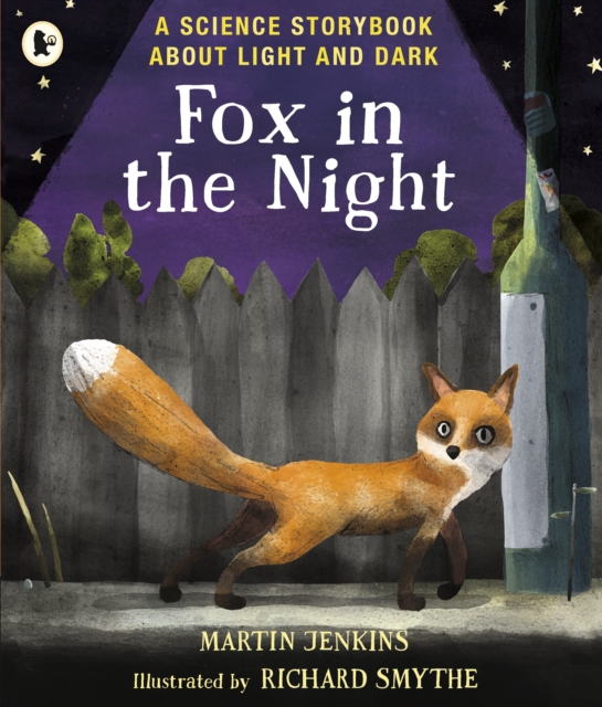 Fox in the Night: A Science Storybook About Light and Dark - Martin Jenkins