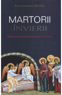 Poza produsului Martorii Invierii - Parintele Constantin Necula