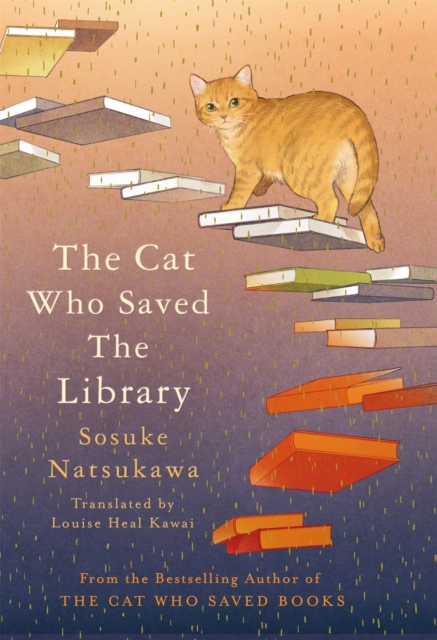 Cat Who Saved the Library - Sosuke Natsukawa