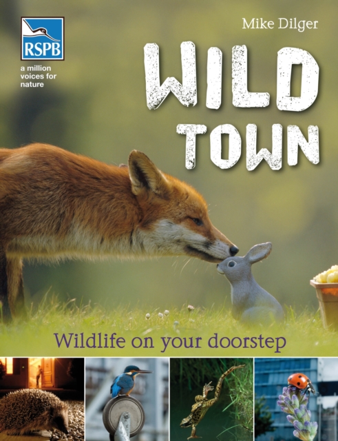 Wild Town - Mike Dilger