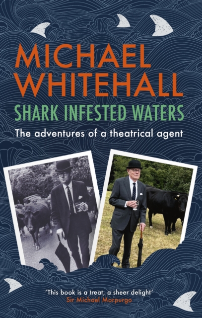 Shark-Infested Waters - Michael Whitehall