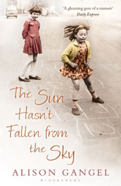 Sun Hasn't Fallen From the Sky - Alison Gangel