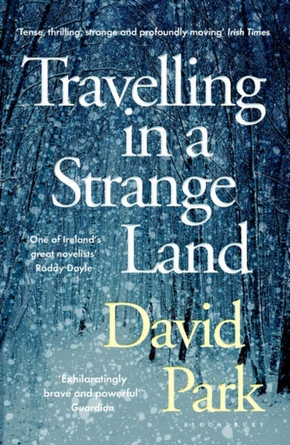 Travelling in a Strange Land - David Park