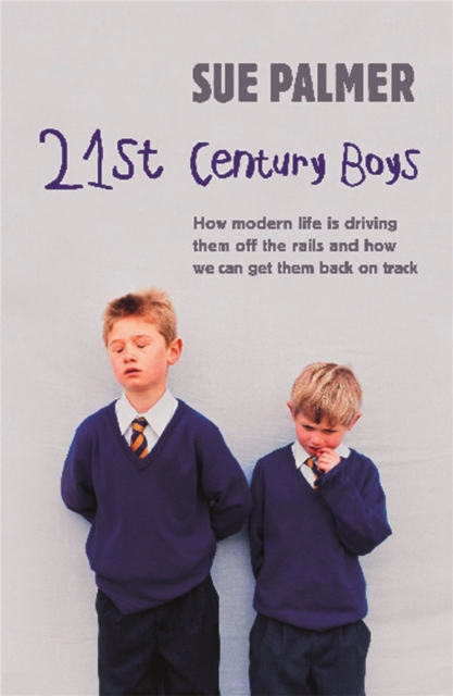 21st Century Boys - Sue Palmer