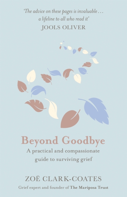 Beyond Goodbye - Zoe Clark-coates